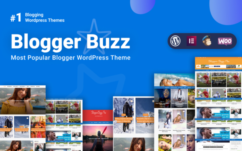 10 WordPress Themes Best